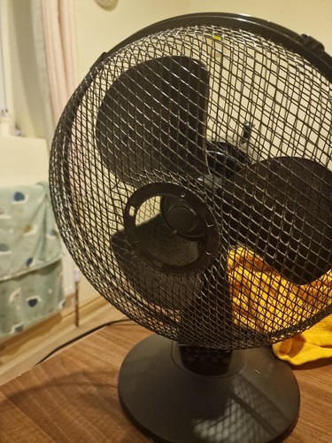 Fan really good for - fan, summer