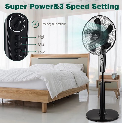 +3+Speed+Adjustable+Pedestal+F